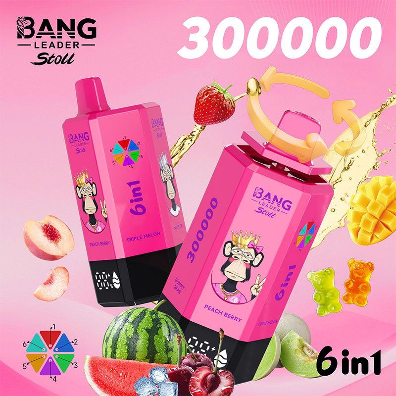Bang Leader Stoll 300K|300,000パフ・6-in-1フレーバー 使い捨て電子タバコ - Image 6