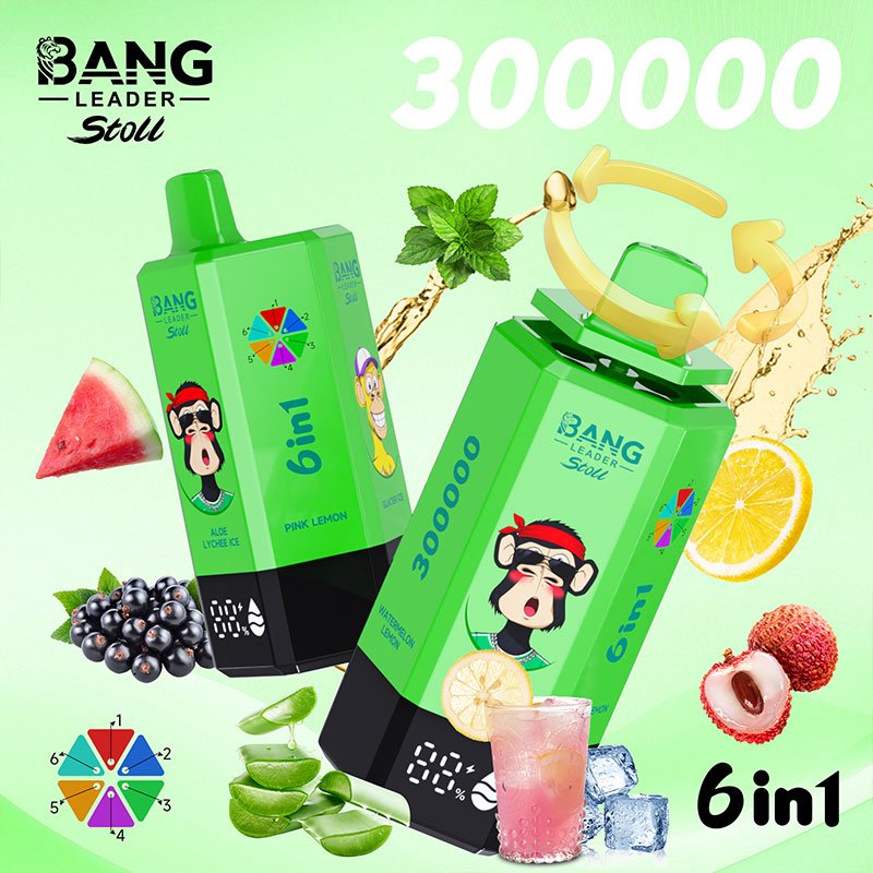 Bang Leader Stoll 300K|300,000パフ・6-in-1フレーバー 使い捨て電子タバコ - Image 2