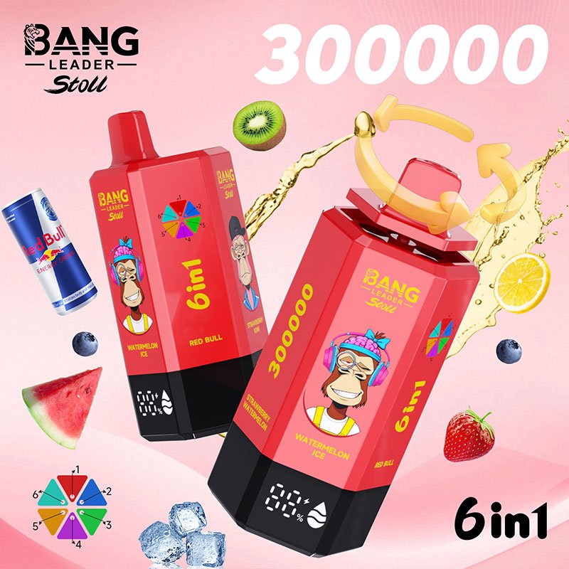 Bang Leader Stoll 300K|300,000パフ・6-in-1フレーバー 使い捨て電子タバコ - Image 13