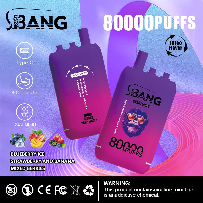 Bang Leader 80000 Puffs | 3フレーバー切り替え グラフィティデザイン VAPE - Image 4