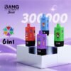 Bang Leader Stoll 300K|300,000パフ・6-in-1フレーバー 使い捨て電子タバコ