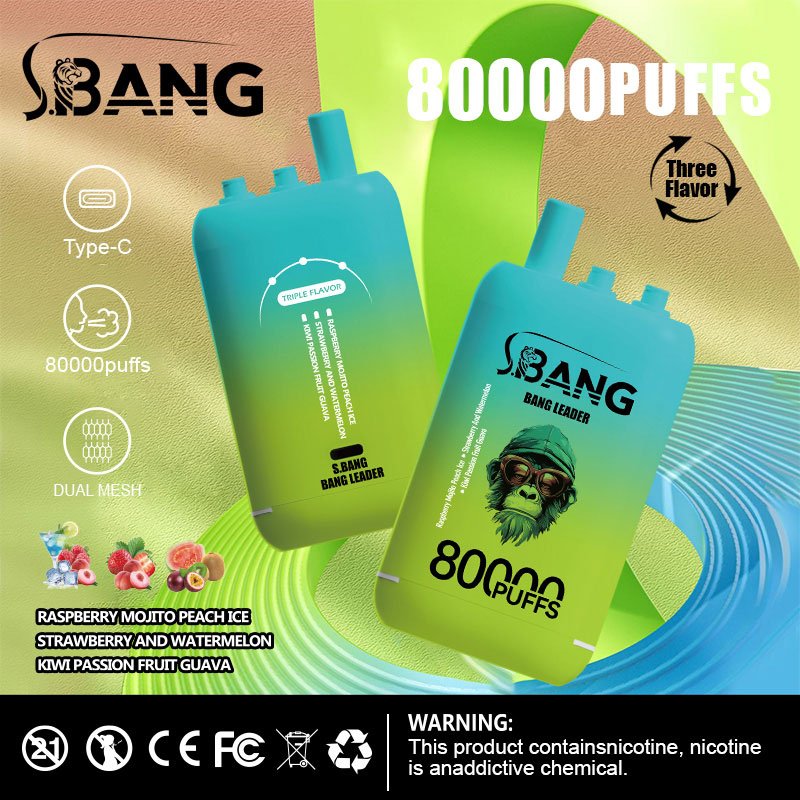 Bang Leader 80000 Puffs | 3フレーバー切り替え グラフィティデザイン VAPE - Image 8