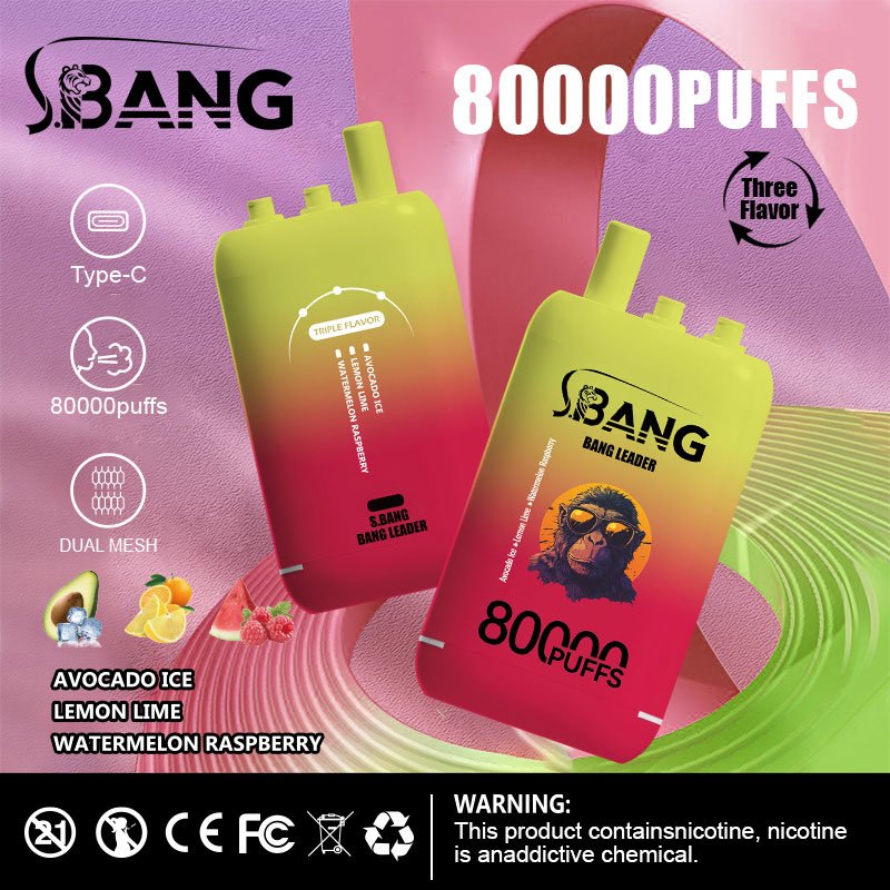Bang Leader 80000 Puffs | 3フレーバー切り替え グラフィティデザイン VAPE - Image 2