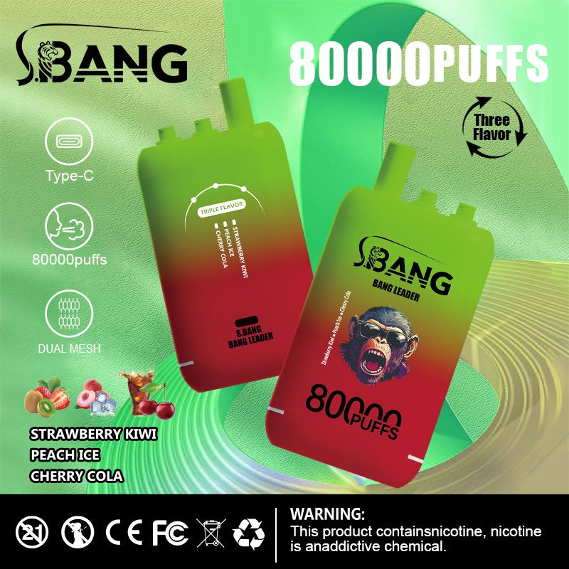 Bang Leader 80000 Puffs | 3フレーバー切り替え グラフィティデザイン VAPE - Image 11
