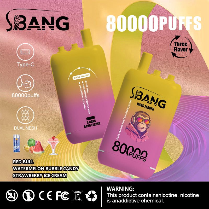 Bang Leader 80000 Puffs | 3フレーバー切り替え グラフィティデザイン VAPE - Image 10