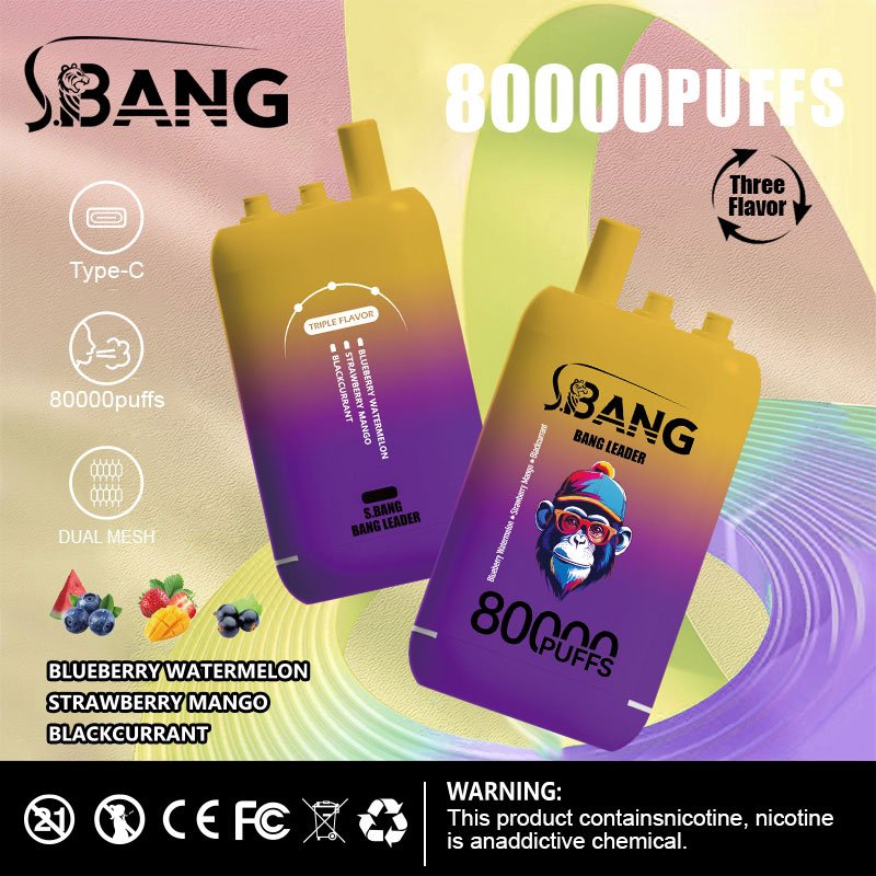 Bang Leader 80000 Puffs | 3フレーバー切り替え グラフィティデザイン VAPE - Image 5