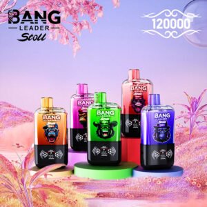 Bang Leader Stoll 120K Puffs | 2-in-1デュアルフレーバー 12万回吸引 VAPE