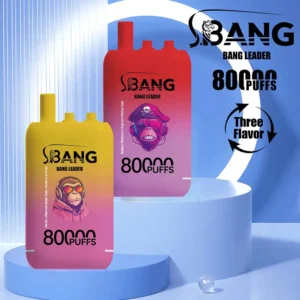 Bang Leader 80000 Puffs | 3フレーバー切り替え グラフィティデザイン VAPE
