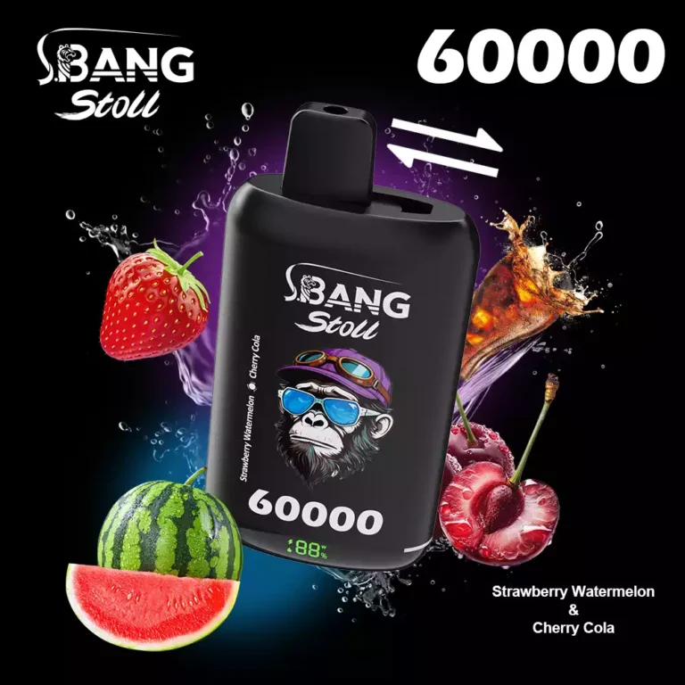 Bang Leader Stoll 60k Puffs | デュアルメッシュコイル搭載 高性能VAPE - Image 10