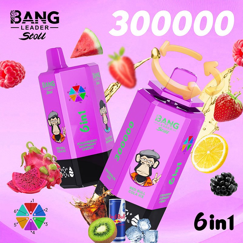 Bang Leader Stoll 300K|300,000パフ・6-in-1フレーバー 使い捨て電子タバコ - Image 10