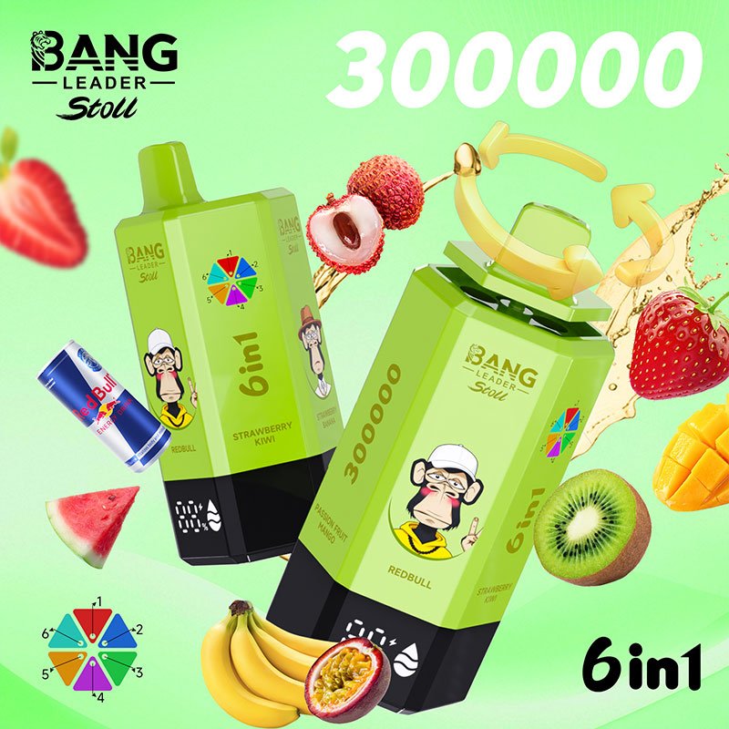 Bang Leader Stoll 300K|300,000パフ・6-in-1フレーバー 使い捨て電子タバコ - Image 9