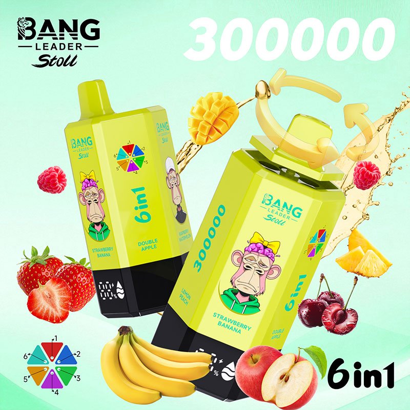 Bang Leader Stoll 300K|300,000パフ・6-in-1フレーバー 使い捨て電子タバコ - Image 11