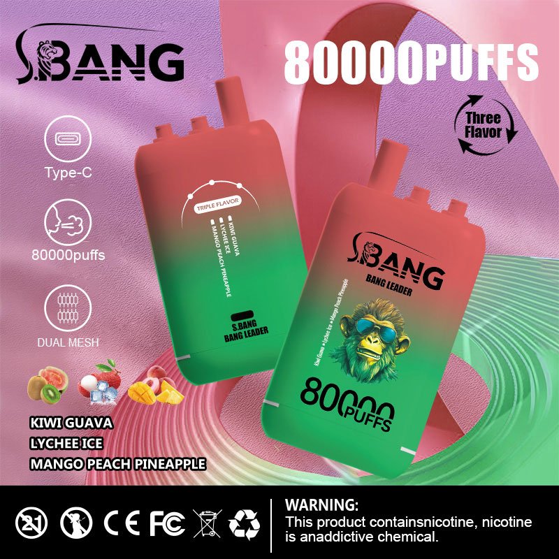 Bang Leader 80000 Puffs | 3フレーバー切り替え グラフィティデザイン VAPE - Image 7