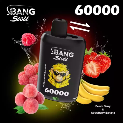 Bang Leader Stoll 60k Puffs | デュアルメッシュコイル搭載 高性能VAPE - Image 13