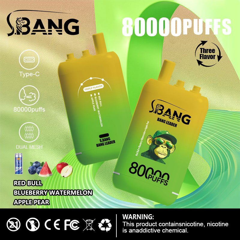 Bang Leader 80000 Puffs | 3フレーバー切り替え グラフィティデザイン VAPE - Image 9