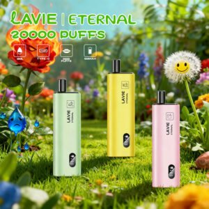 Lavie Eternal 20000 Puffs | 液晶画面搭載 大容量20,000回吸引 使い捨てVAPE