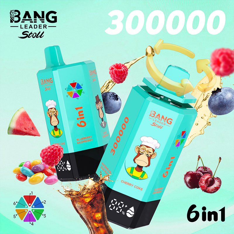Bang Leader Stoll 300K|300,000パフ・6-in-1フレーバー 使い捨て電子タバコ - Image 3